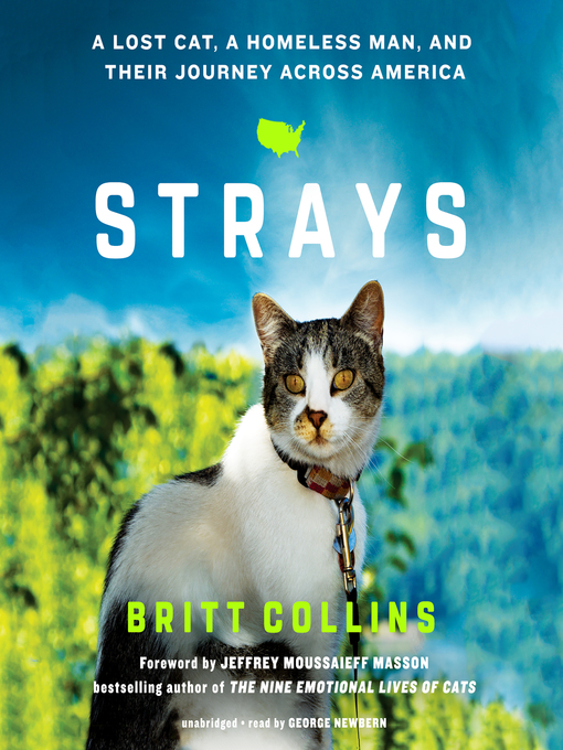 Title details for Strays by Britt Collins - Available